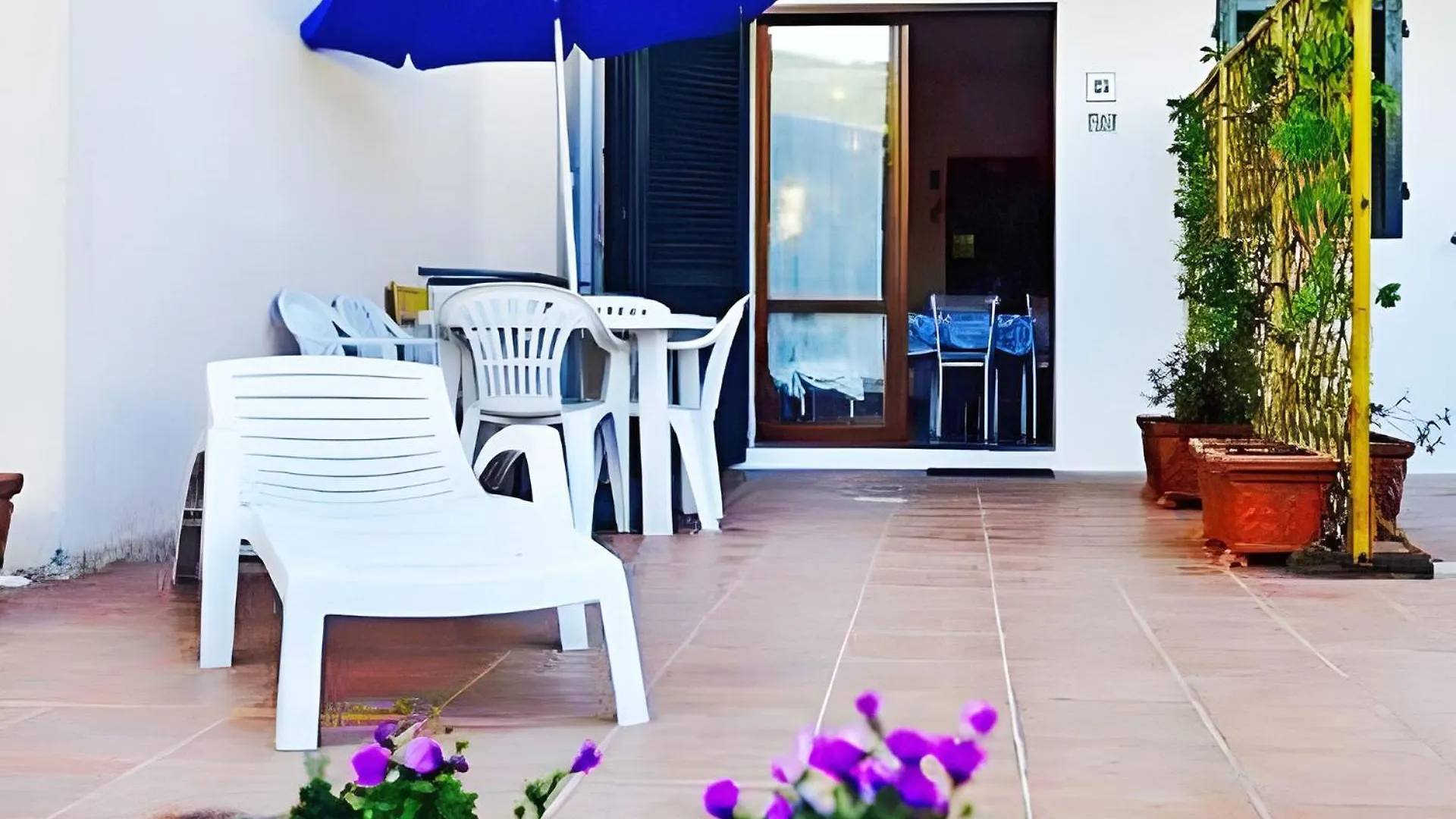 Home Camy - Argonautivacanze Marciana Marina